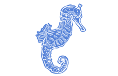 seahorse image