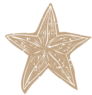 starfish